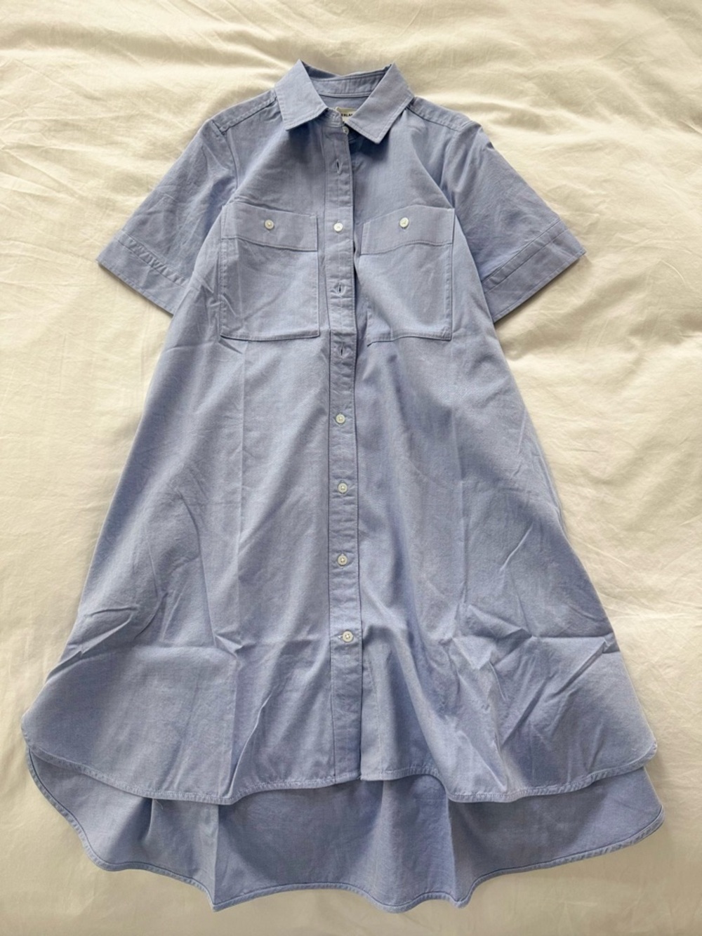 Everlane Blue Daytripper Dress